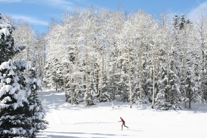 Enchanted Forest Cross Country Ski Area photo