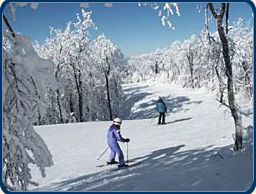 Ski Windham photo