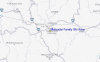 Streetview Map